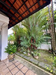 Coral Park (D20), Semi-Detached #489635741